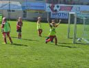 pfc 2026 u8