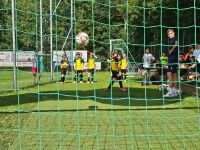 pfc 2025 u10 pfc 2025 u10