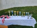 pfc 2026 u10